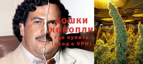 экстази Бородино